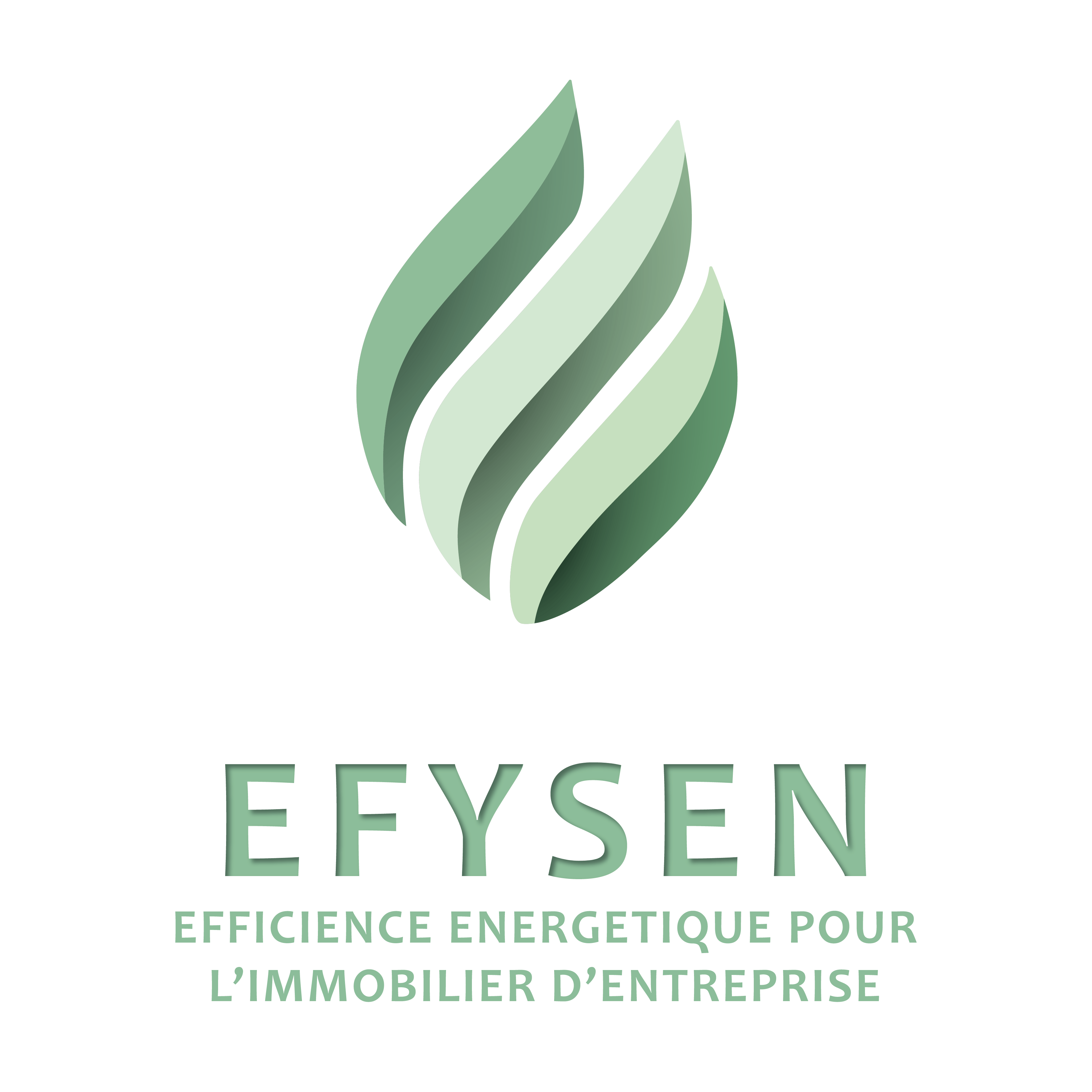 logo efysen