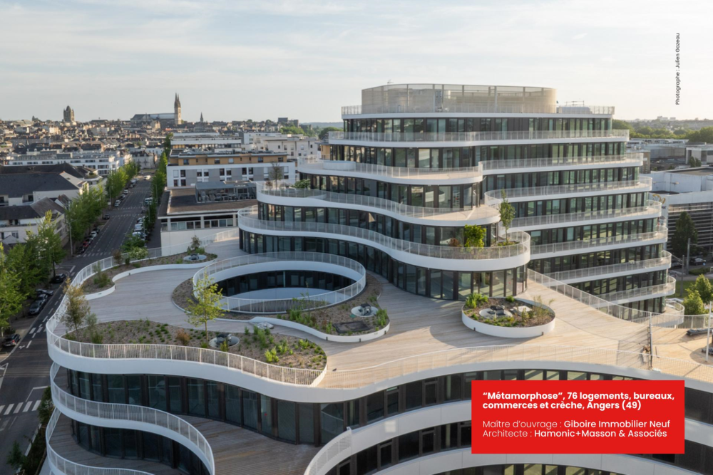 Métamorphose, Angers