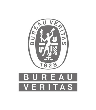 LOGO BUREAU VERITAS 700px_Logo-BV_RGB-GRAY.jpg