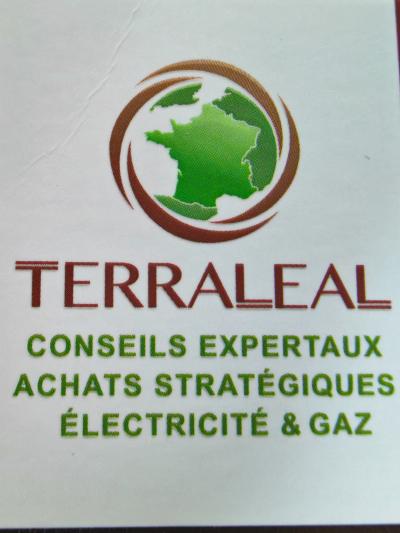 logo terraleal