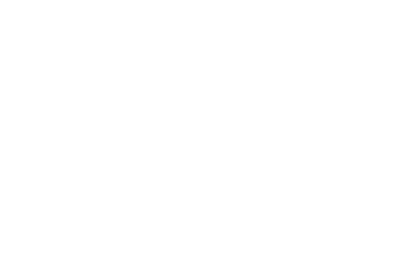 logo AIA life designers