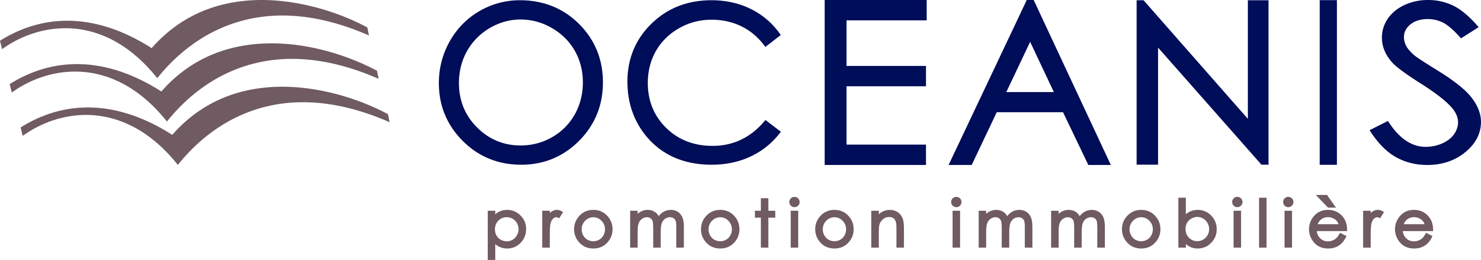 logo Oceanis Promotion