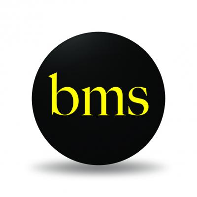 logo BMS Assurances