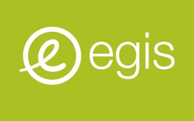 Vers des seuils carbone toujours plus exigents par EGIS GROUP