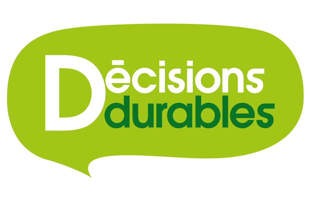 Logo DECISIONS DURABLES